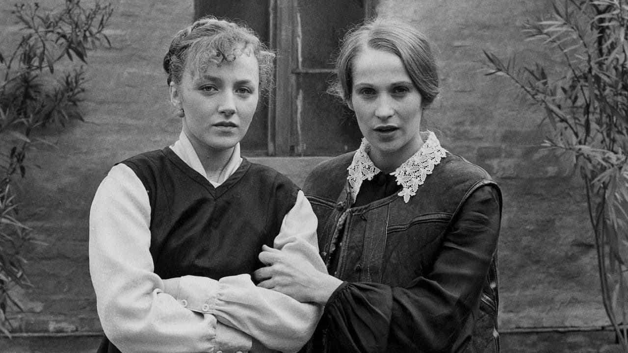 Backdrop – Splav meduze