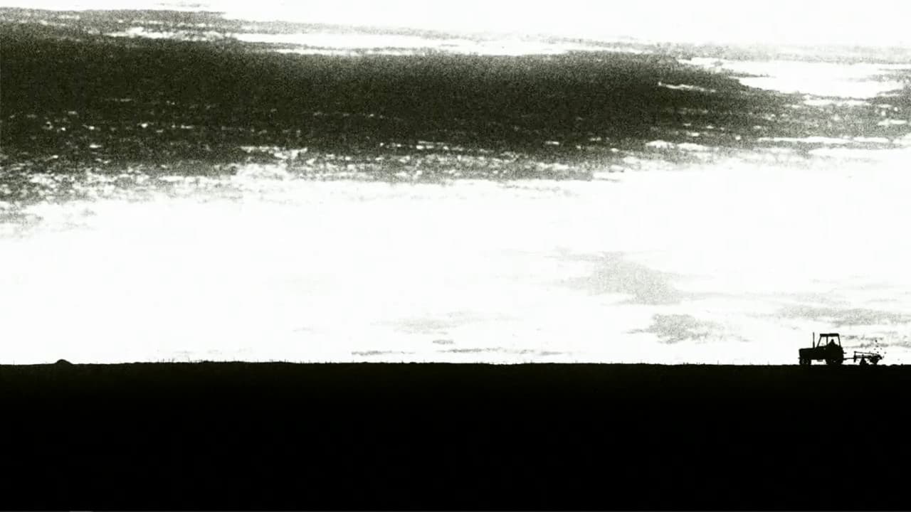 Backdrop – Happy End