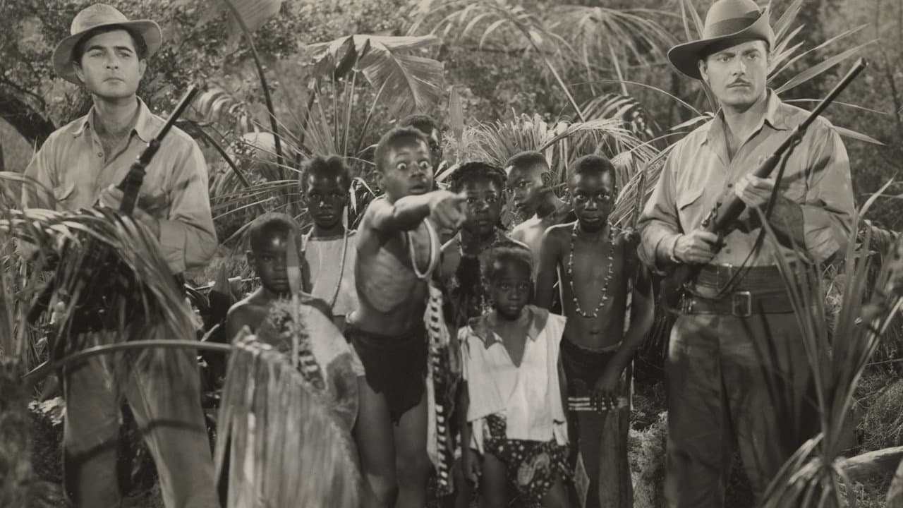 Backdrop – Zamba