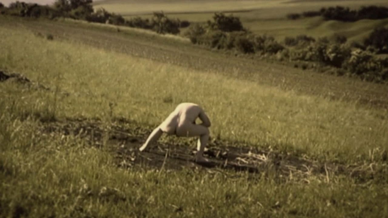 Backdrop – Debris Documentar