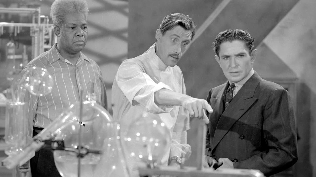 Backdrop – Revenge of the Zombies