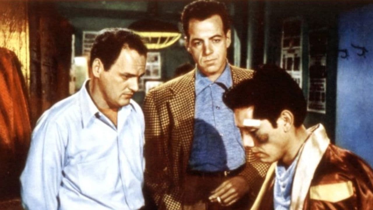 Backdrop – The Ring