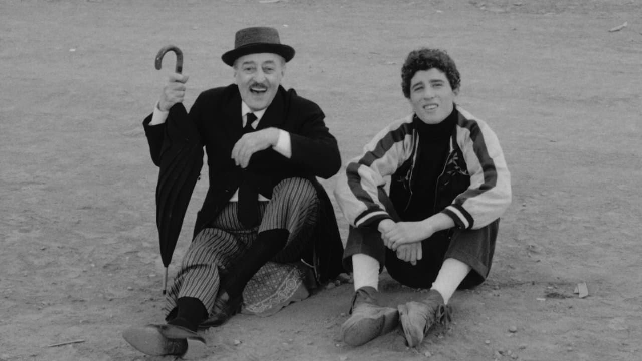 Backdrop – Große Vögel - Kleine Vögel