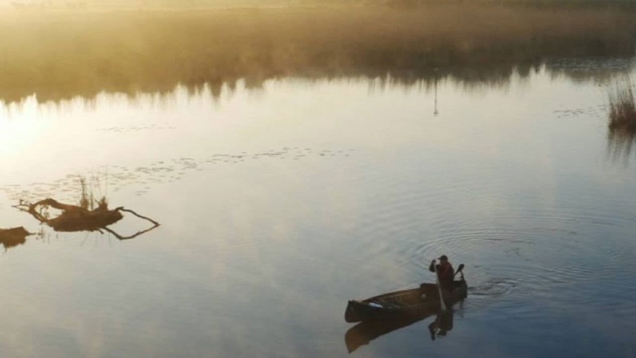 Backdrop – Levende Rivier