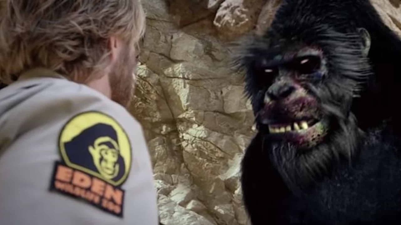 Backdrop – Zoombies