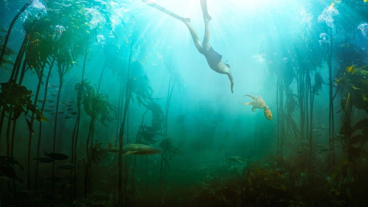 Backdrop – Mein Lehrer, der Krake