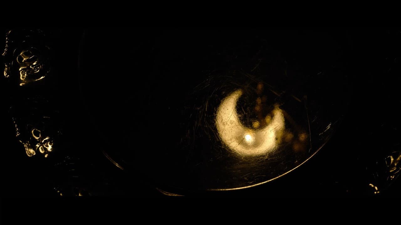Backdrop – Devour
