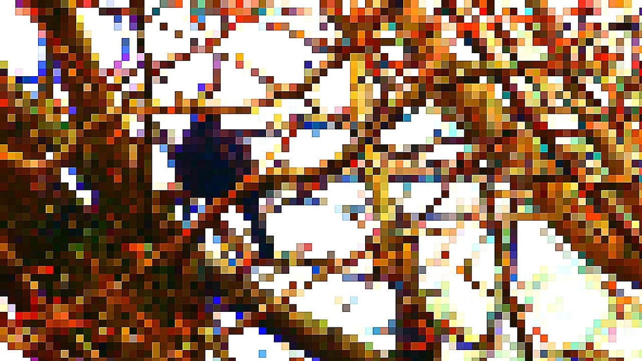 Backdrop – Super Vario Birds