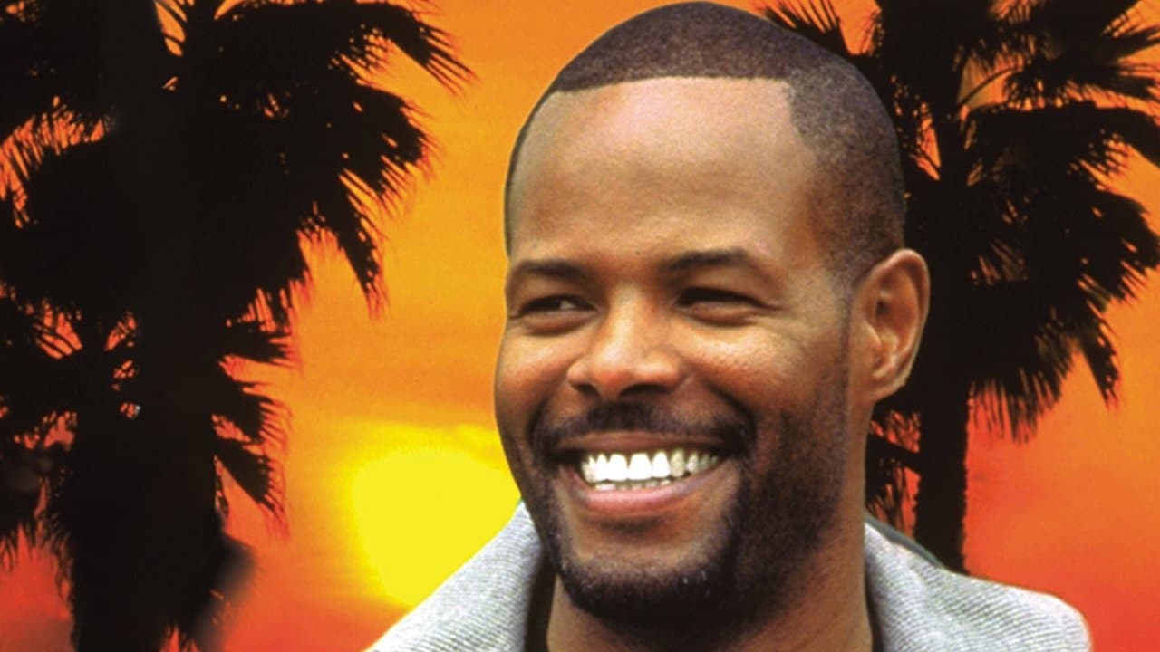 Backdrop – Mister Cool