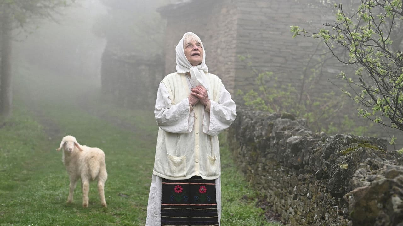 Backdrop – Божа Работа