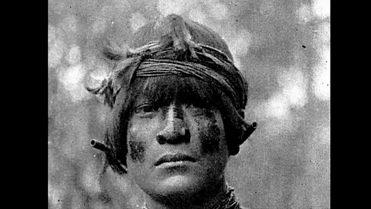 Backdrop – Der Staub Amerikas