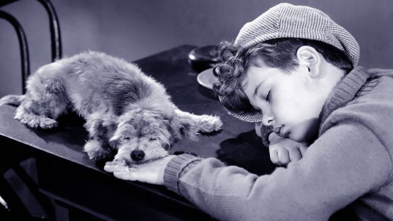 Backdrop – The Mighty McGurk