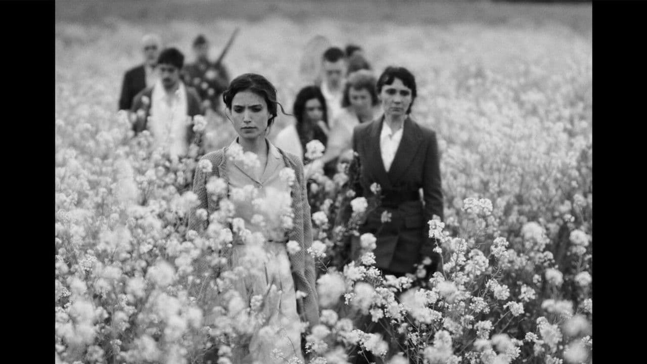 Backdrop – Semillas