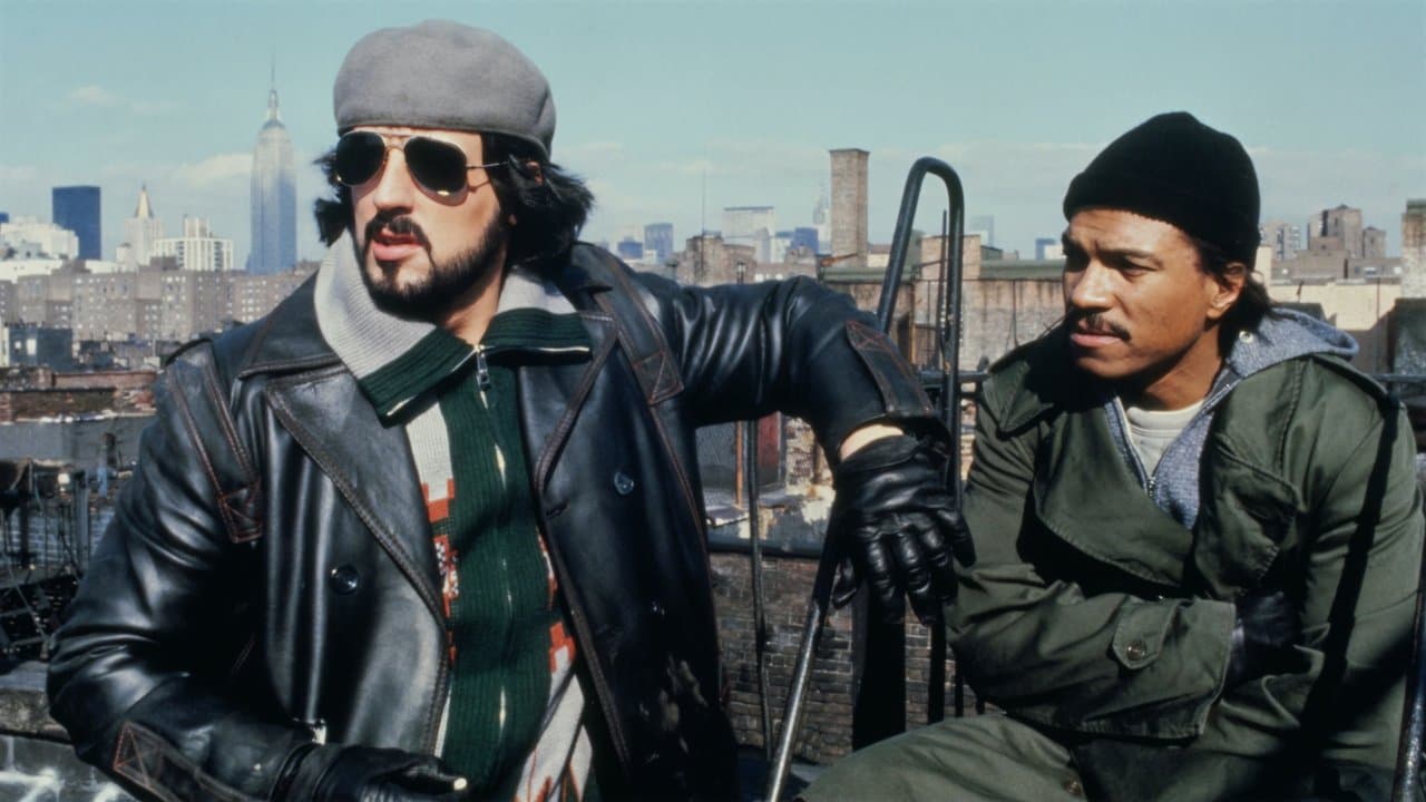 Backdrop – Nachtfalken