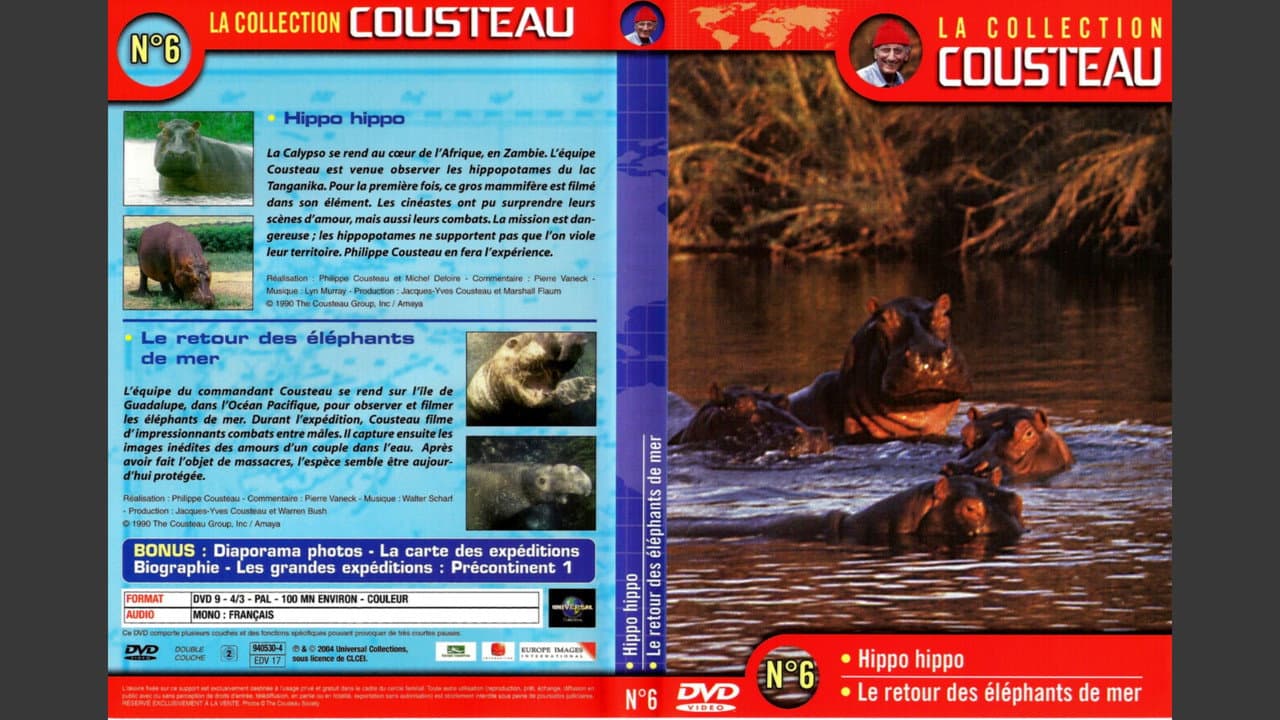 Backdrop – La collection Cousteau N°6 | Hippo, Hippo | Le retour des éléphants de mer