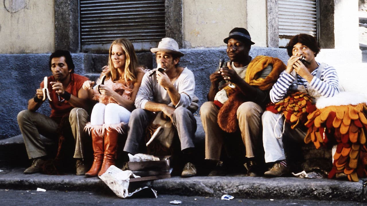 Backdrop – Os Saltimbancos Trapalhões