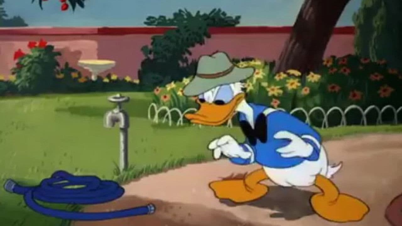 Backdrop – Kirschen in Nachbars Garten