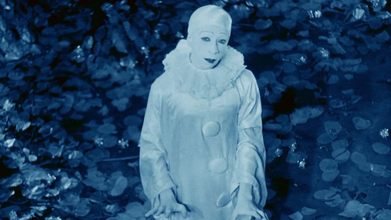 Backdrop – Rabbit's Moon