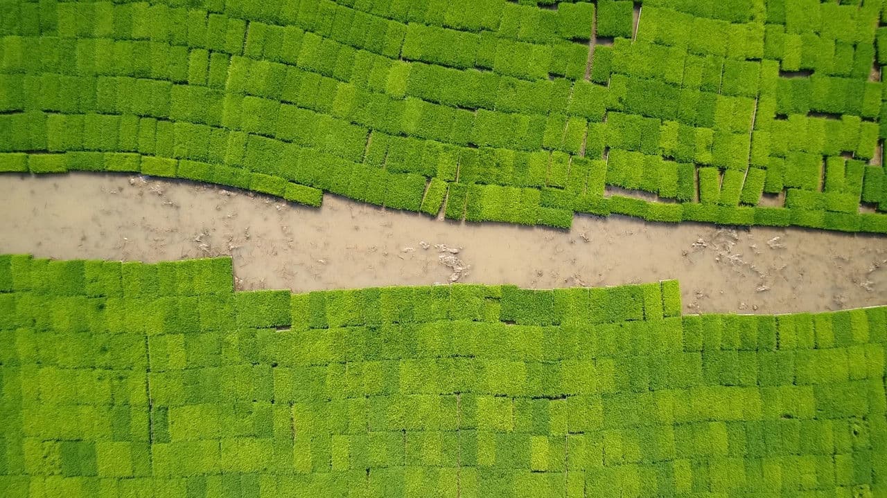 Backdrop – 물의 기억