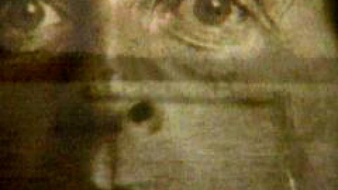 Backdrop – Wittgenstein Tractatus