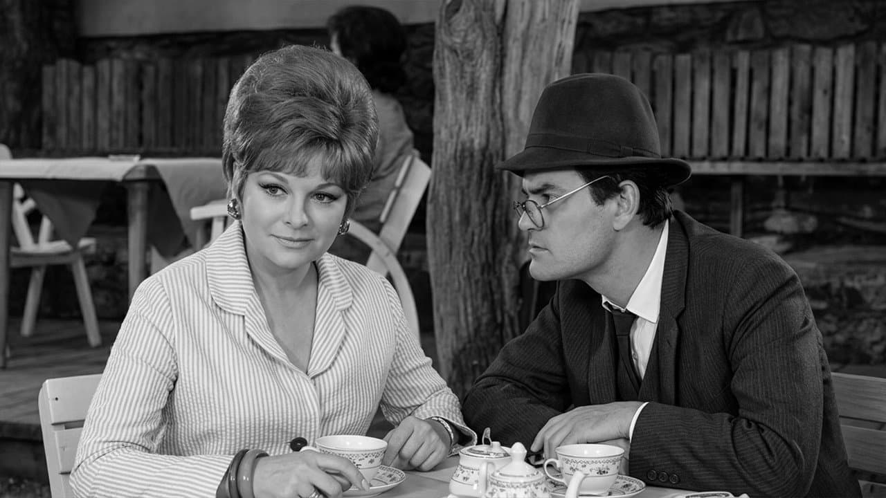 Backdrop – Kaynana Zırıltısı