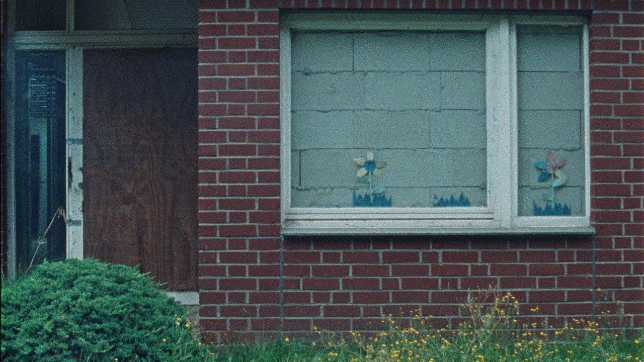 Backdrop – Hang am Baum