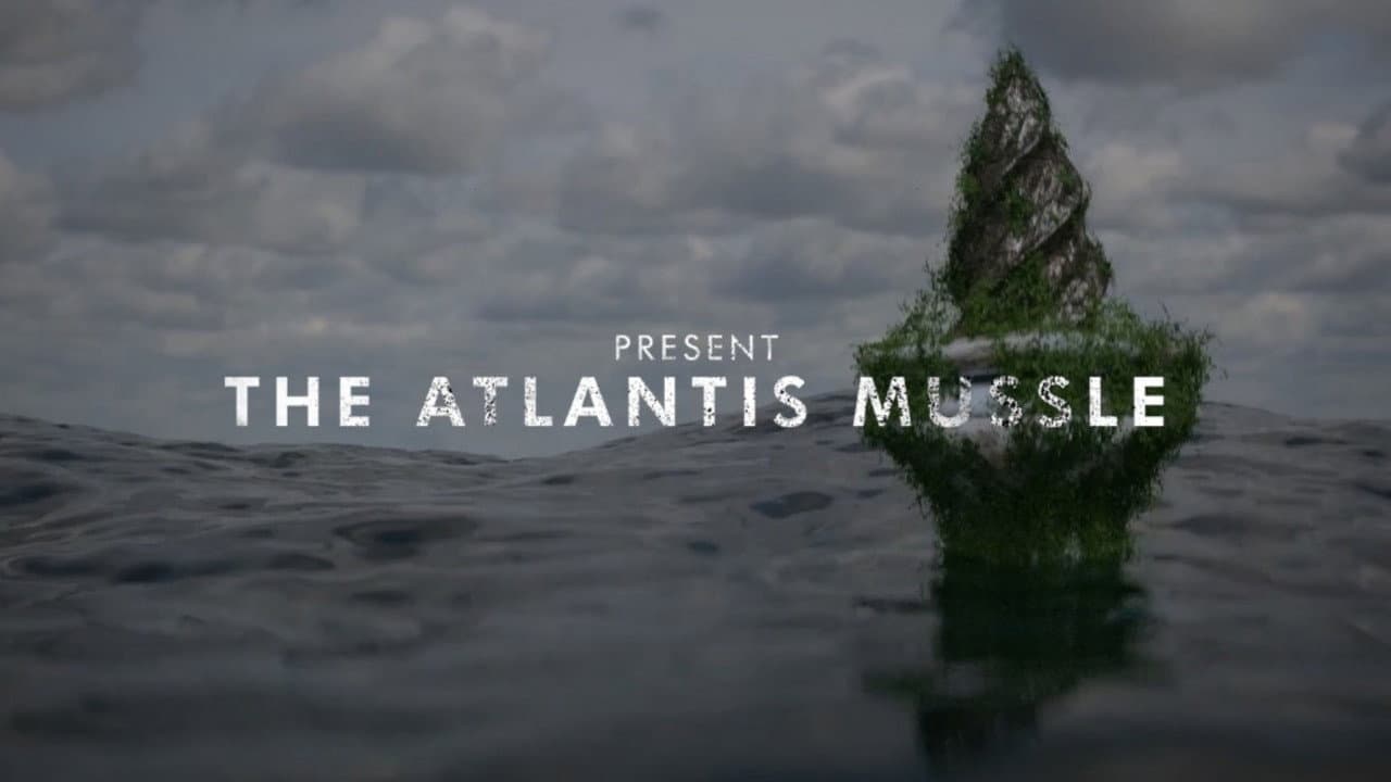Backdrop – The Atlantis Mussels