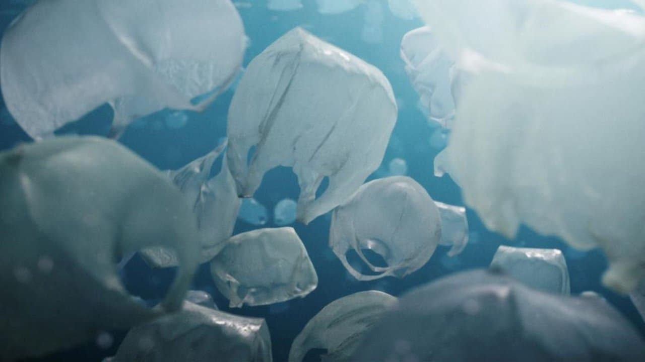 Backdrop – The Beauty