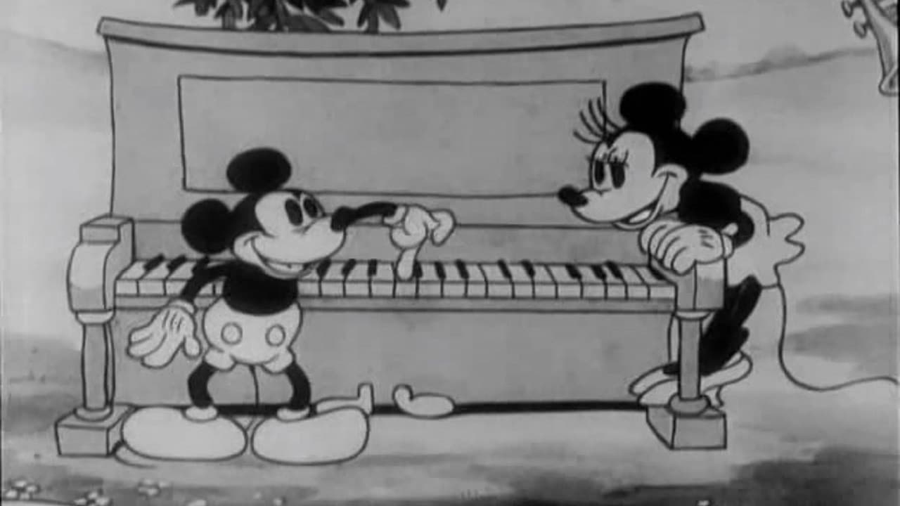 Backdrop – Micky's Transportservice