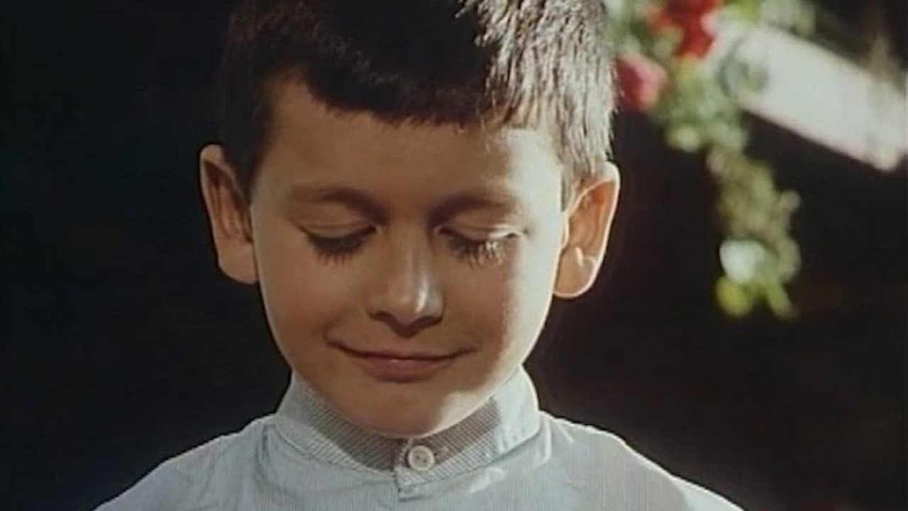 Backdrop – Eu, o tolo