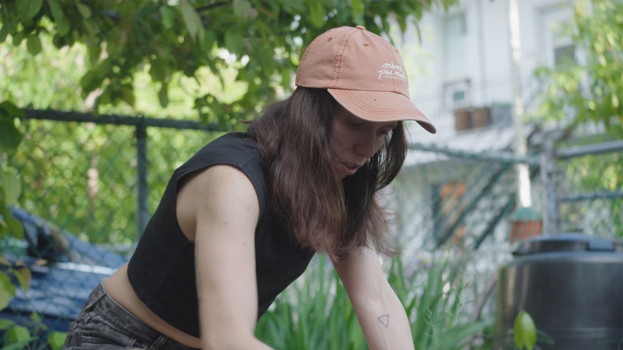 Backdrop – Leçon de notre jardin