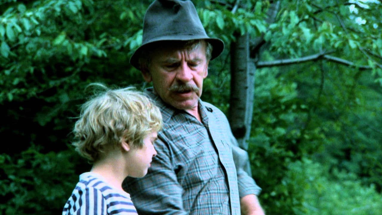 Backdrop – Kosenie Jastrabej lúky