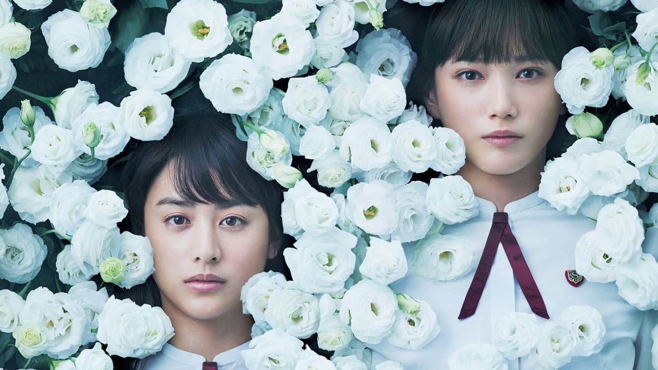 Backdrop – 少女