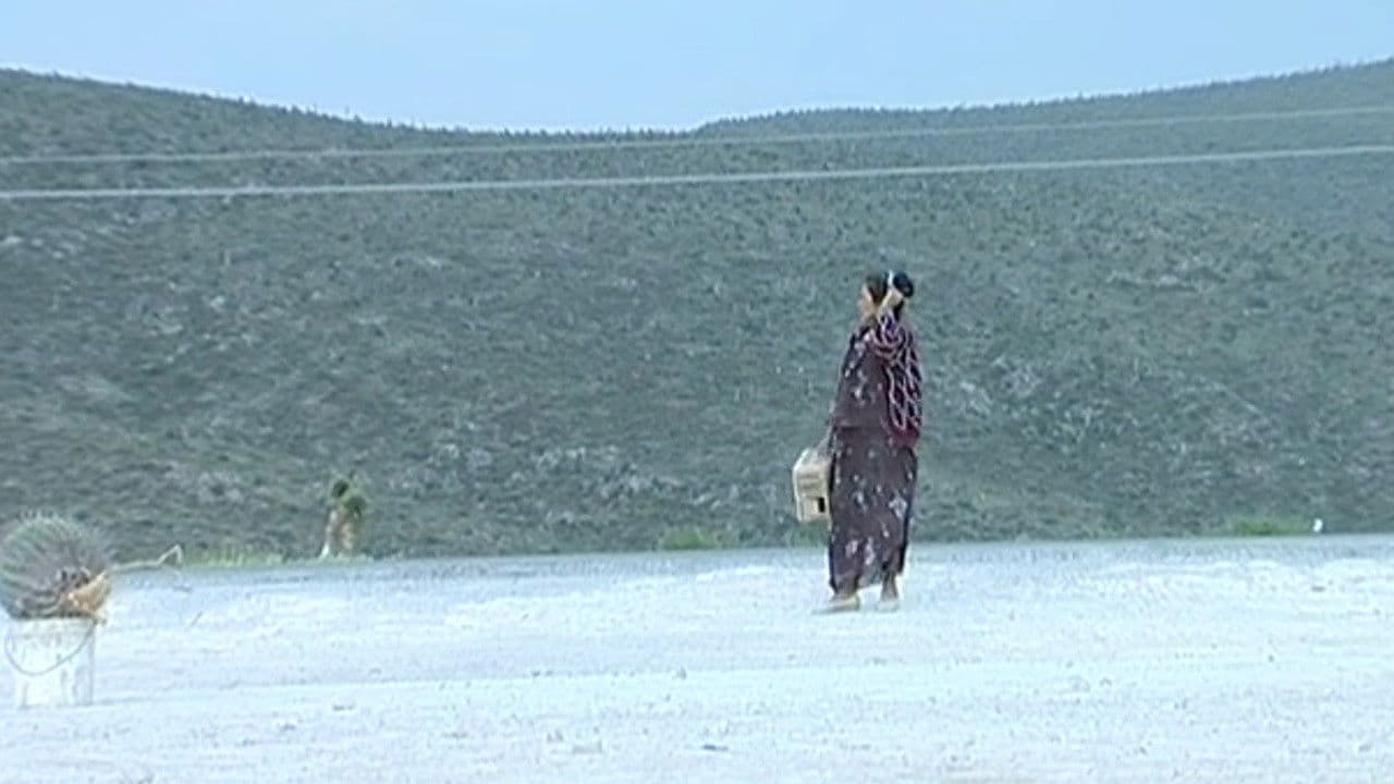 Backdrop – Tropico de cancer