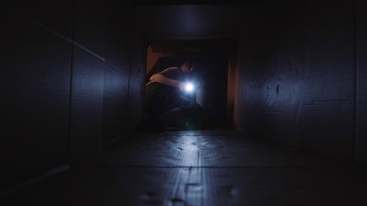 Backdrop – Box Fort