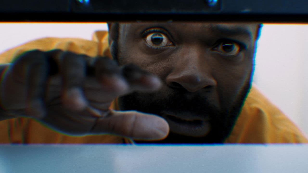 Backdrop – Newborn