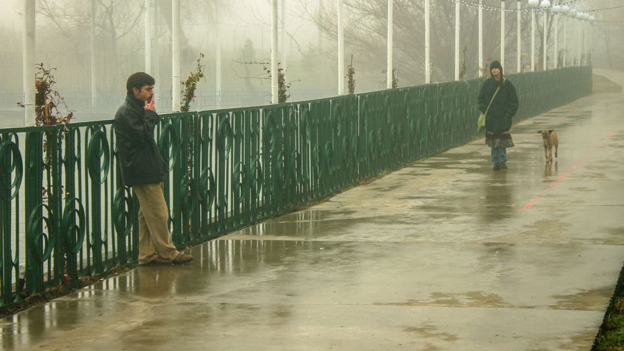 Backdrop – ბუზის მიზეზით