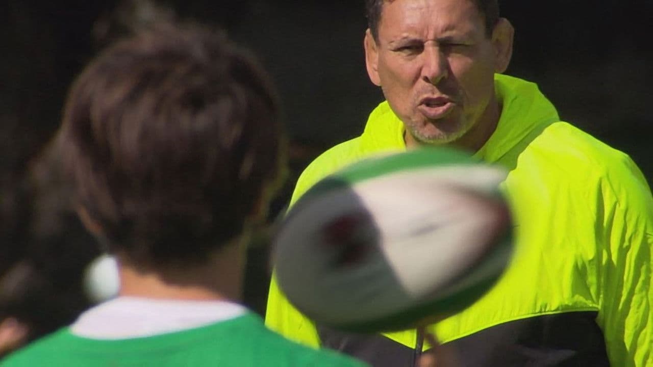 Backdrop – Champions Factory: New Zealand's Black Blood