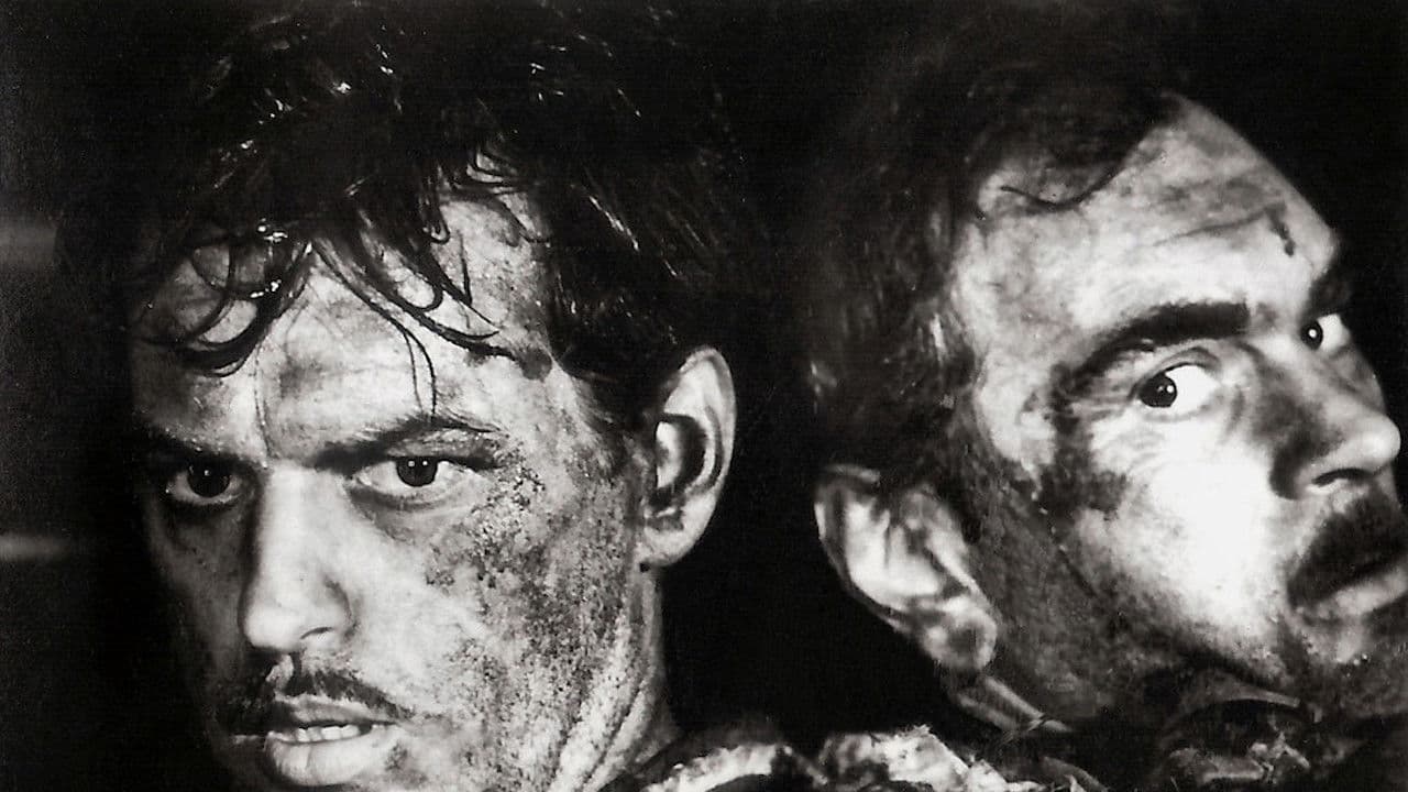 Backdrop – Сергей Лазо