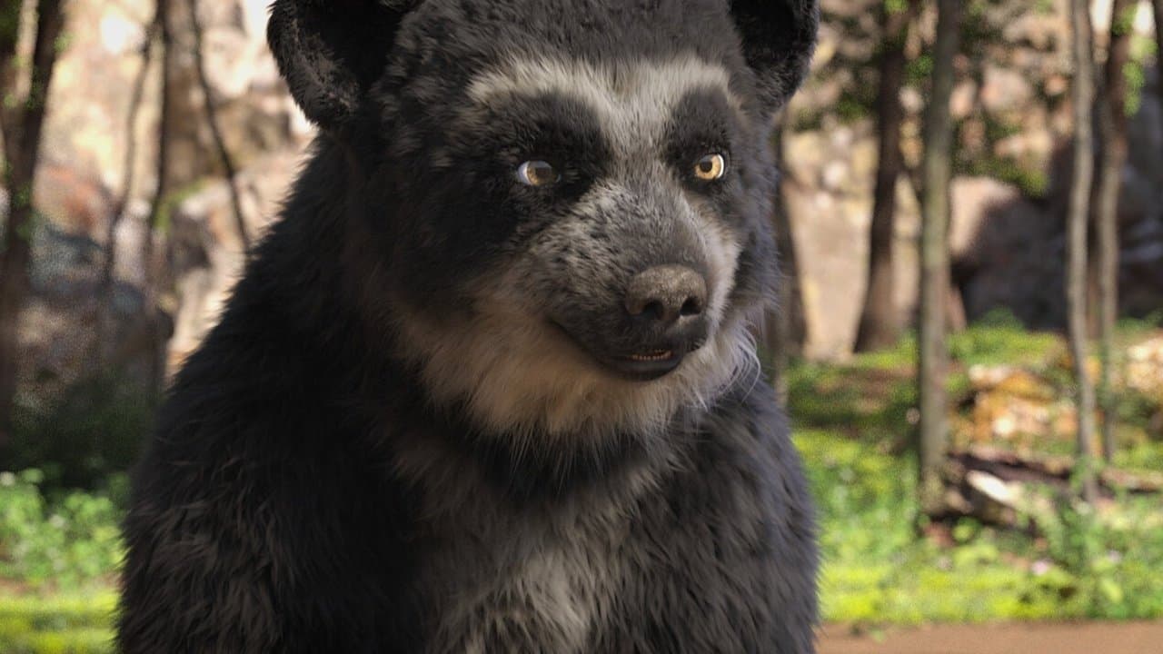 Backdrop – Milagros: Una osa extraordinaria