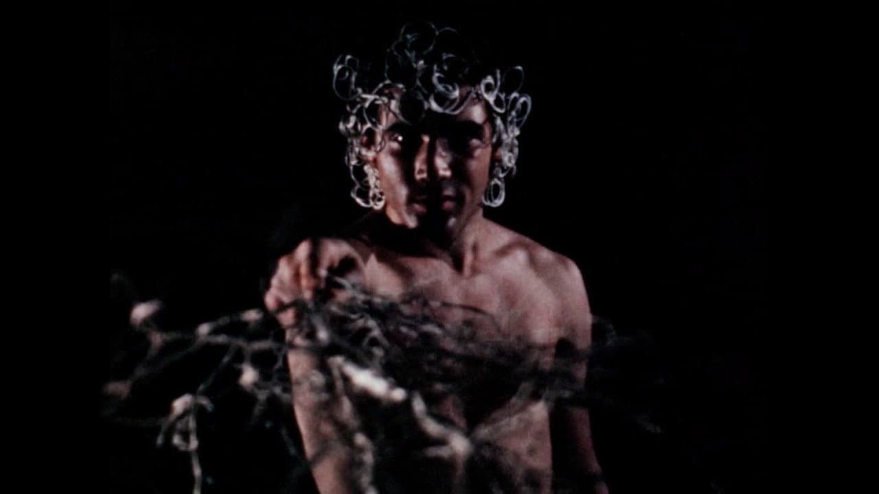 Backdrop – Dionysus