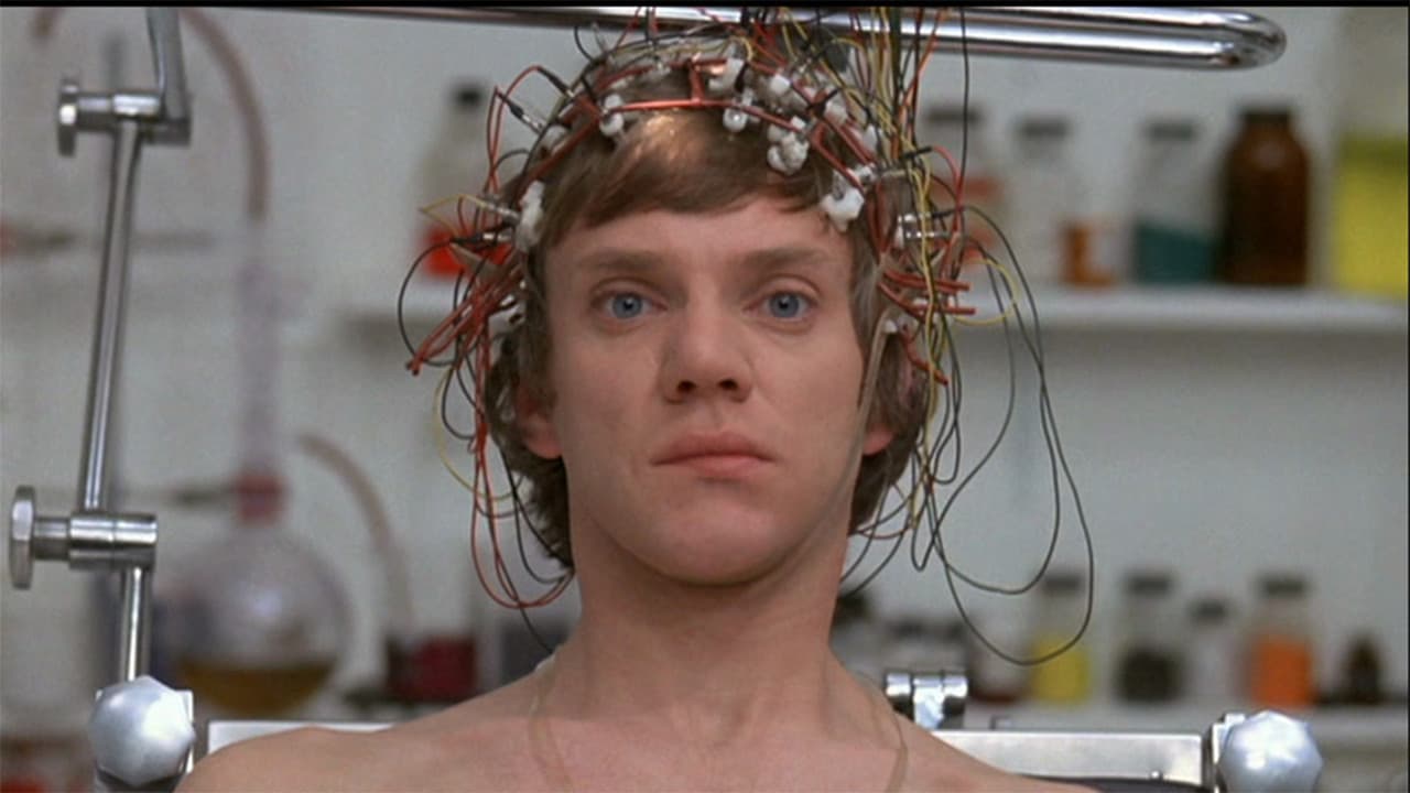 Backdrop – O Lucky Man!