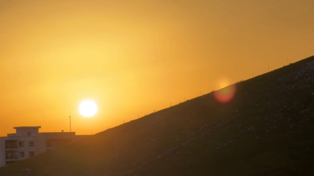Backdrop – دەنگی شاخەکان