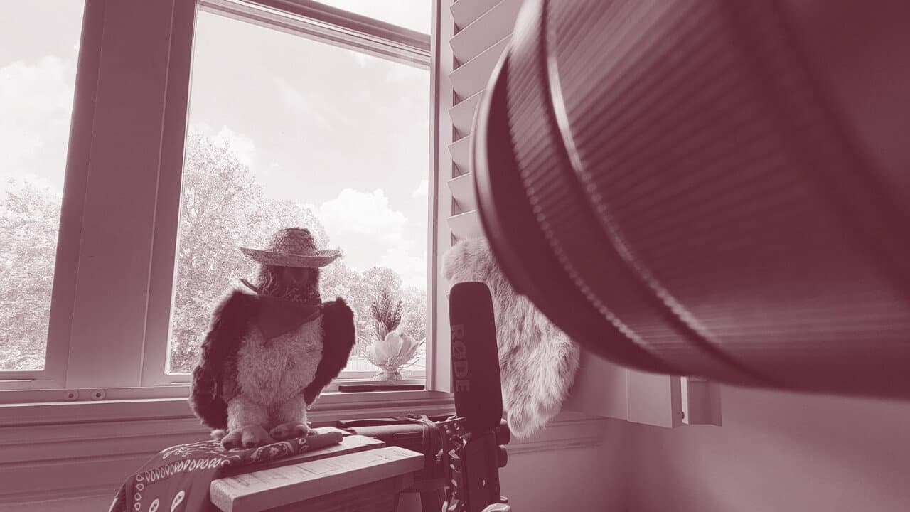 Backdrop – Criminal Record: Zoo-Kept