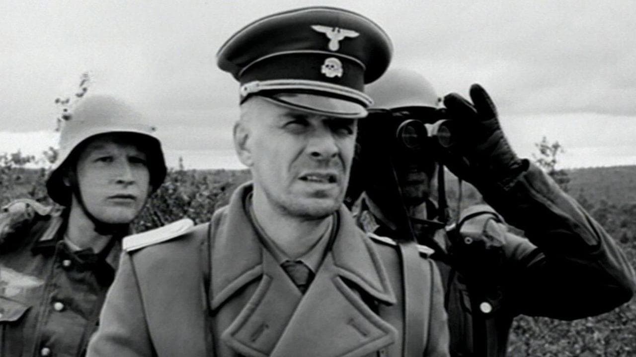 Backdrop – Kummeli Kultakuume