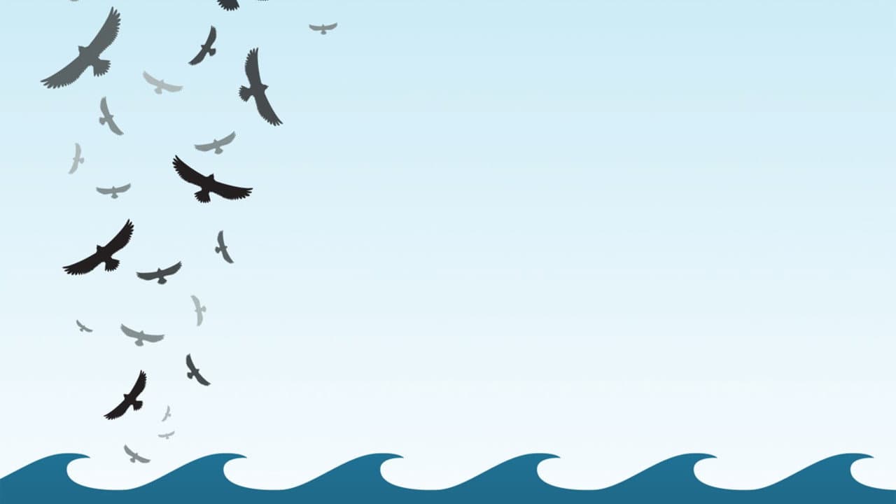 Backdrop – In the Wake of the Flood