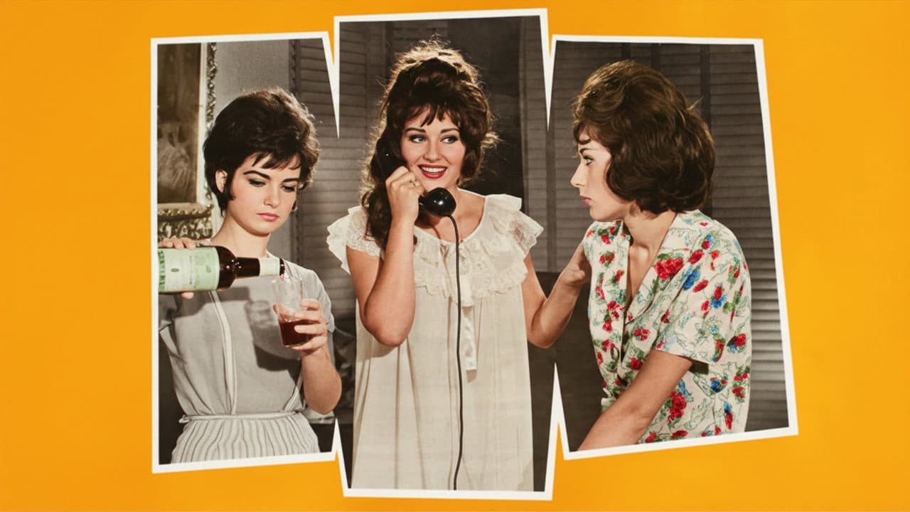 Backdrop – Ne Şeker Şey