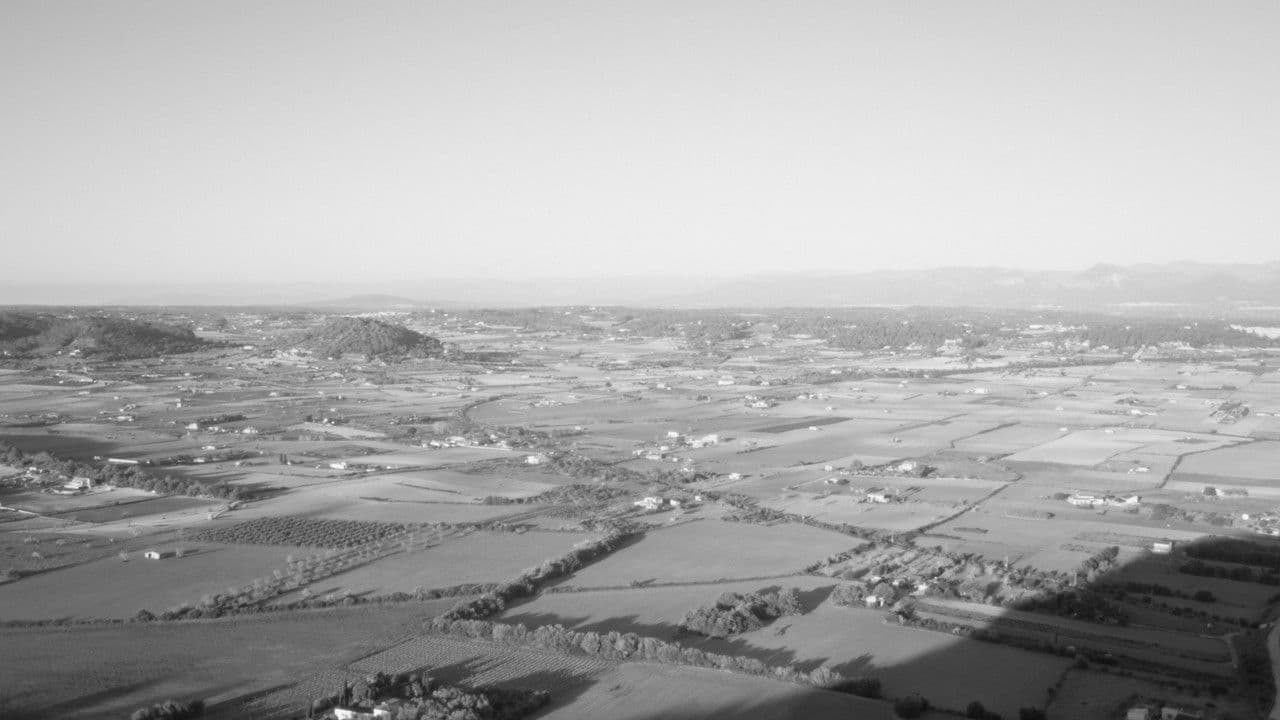 Backdrop – Estimada Sa Bastida