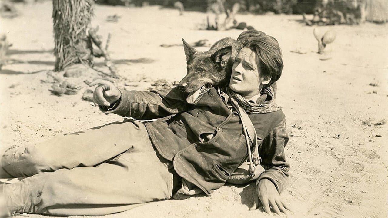 Backdrop – Clash of the Wolves