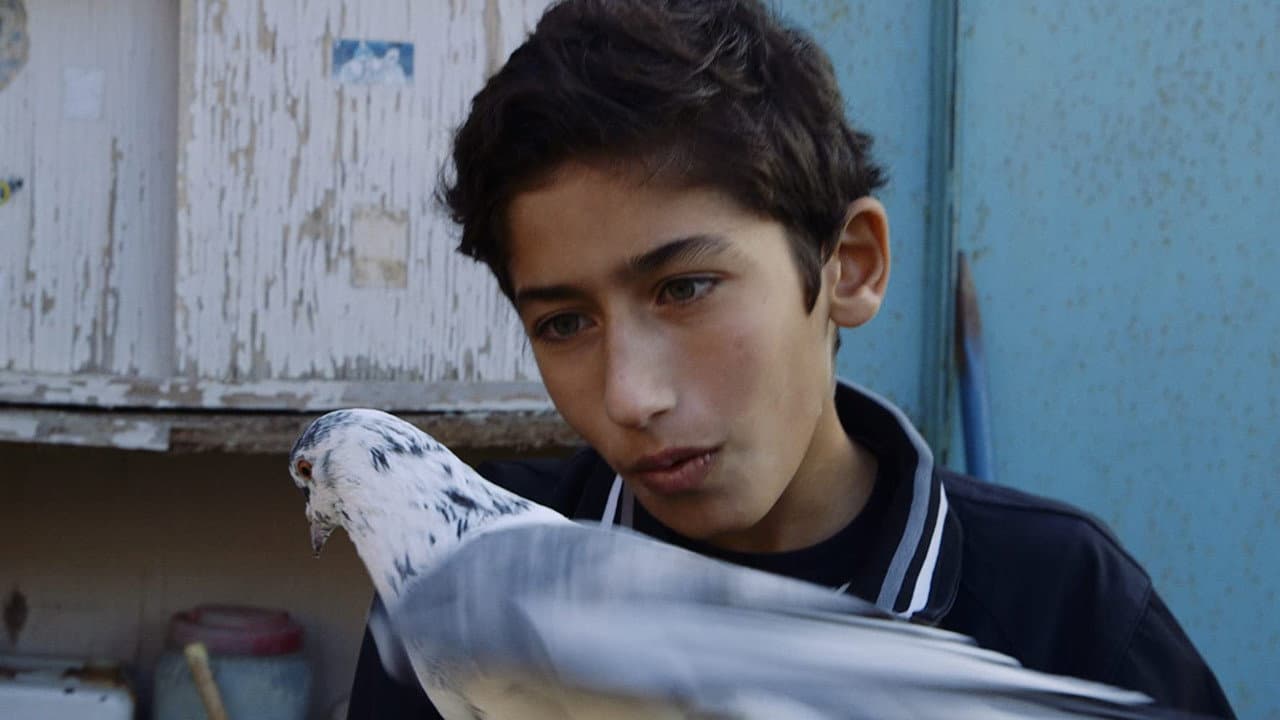 Backdrop – Fugledrengen